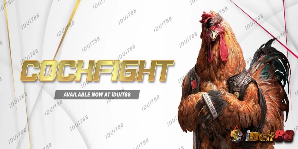 Iduit88 Cockfight game